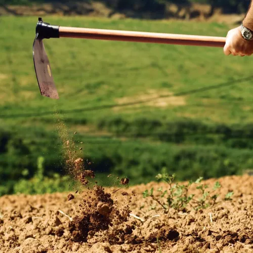 Enxada Larga 2.5 em Aço com Cabo de Madeira 145cm - Tramontina 77214754 Enxada Larga 2.5 em Aço com Cabo de Madeira 145cm - Tramontina 77214754