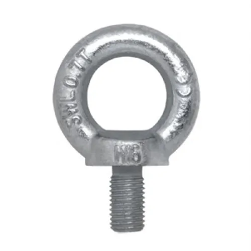 Parafuso Olhal de Suspensão M20 - Carbografite 013282113 Parafuso Olhal de Suspensão M20 - Carbografite 013282113