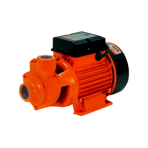 Bomba D’água Periférica BP1000 1 HP Bivolt - Intech Machine BP1000