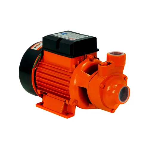 Bomba D’água Periférica BP1000 1 HP Bivolt - Intech Machine BP1000