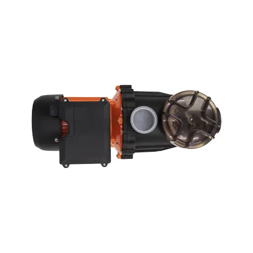 Bomba D'Água para Piscina 0,5 HP 127 V - Intech Machine BPI500 Bomba D'Água para Piscina 0,5 HP 127 V - Intech Machine BPI500