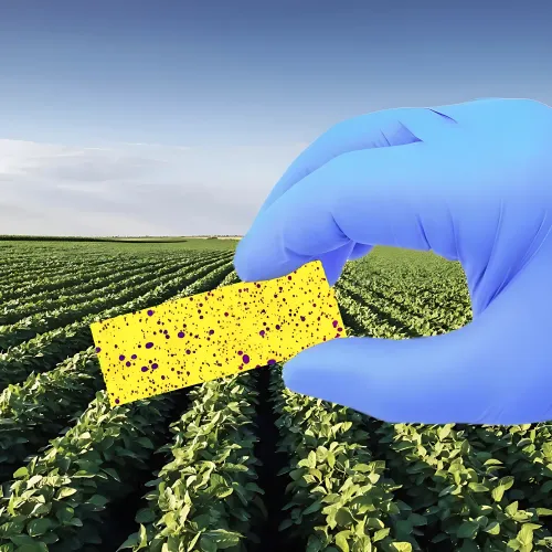 Papel Sensível à Água para Deposição das Gotas - Wspaper PCPSS075