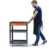 Carrinho Aberto para Ferramentas com 1 Gaveta - Robust 3370213 Carrinho Aberto para Ferramentas com 1 Gaveta - Robust 3370213